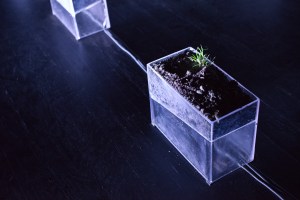 Field Recordings-100415-Trui Hanoulle-3189